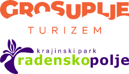 Logo 1